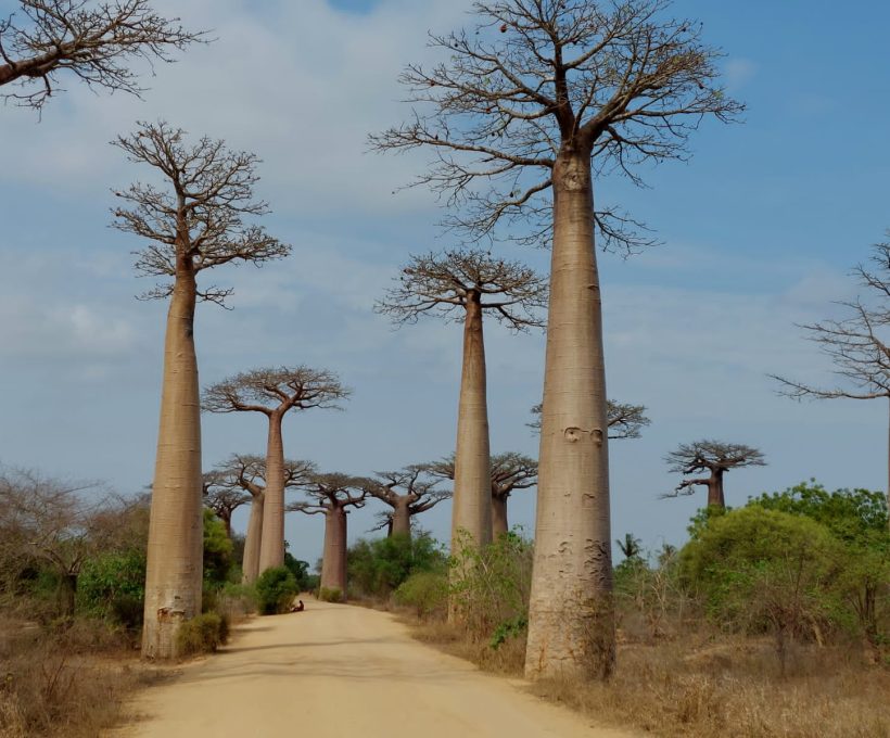 Sailing loop sakapaly tour voyage Madagascar